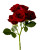 Burgundy Spray Rose Stems – Bulk Mini Roses – Phoenix Arizona