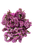 Hot Pink Statice Flower Stems – Bulk Filler – Phoenix Arizona