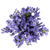 Lavender Statice Flower Stems – Bulk Filler – Phoenix Arizona