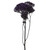 Purple Trachelium – Bulk Filler Flower – Phoenix Arizona