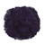 Purple Trachelium – Bulk Filler Flower – Phoenix Arizona