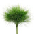 Green Tree Fern – Bulk Foliage Greens – Phoenix Arizona