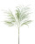 Green Tree Fern – Bulk Foliage Greens – Phoenix Arizona