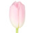 Light Pink Tulip – Bulk Spring Wedding Flower – Phoenix Arizona