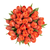 Orange Tulip – Bulk Spring Flower – Phoenix Arizona
