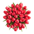Red Tulip – Bulk Spring Flower – Phoenix Arizona