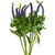 Blue Purple Veronica – Bulk Line Flower – Phoenix Arizona