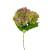 Antique Green Hydrangea – Bulk Focal Flower – Phoenix Arizona