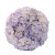 Lavender Hydrangea – Bulk Focal Flower – Phoenix Arizona