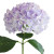 Lavender Hydrangea – Bulk Focal Flower – Phoenix Arizona