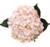 Light Pink Hydrangea – Bulk Focal Flower – Phoenix Arizona