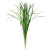 Green Lily Grass – Bulk Foliage Accent – Phoenix Arizona