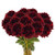 Chocolate Dahlia – Bulk Flowers – Arizona Flower Market Phoenix