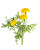 Yellow Marigold – bulk wholesale flowers Arizona Flower Market