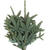 noble fir boughs 25 lb case fresh holiday greens – Arizona Flower Market Phoenix AZ