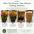 Image alt text:
Packaging & Handling for bulk flower delivery in Phoenix with wet packed flowers protected in water and boxed for transport.