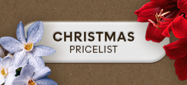 Christmas Price List