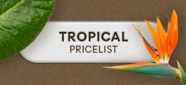 Tropical Wholesale Pricelist