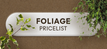 Foliage Wholesale Pricelist