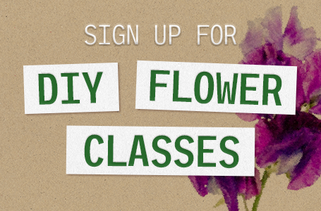 Classes & Experiences
