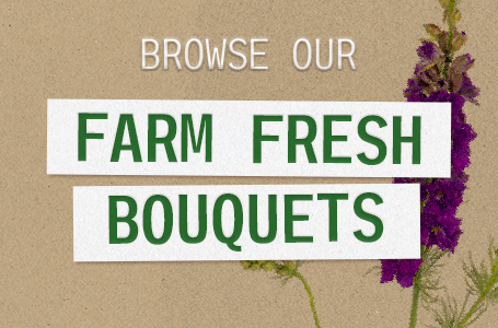 Fall For Dahlias Farm Fresh Bouquets