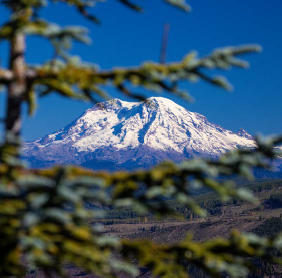 Mount St. Helens framed by evergreen trees in the Pacific Northwest