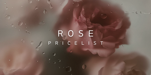 Rose Wholesale Pricelist