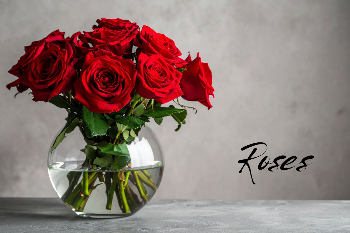 Valentine’s roses in Phoenix featuring premium long-stem red and pink roses designed by a local florist for Valentine’s Day