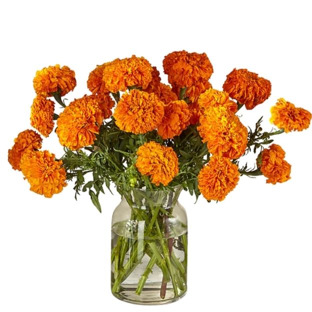Top Flowers in Phoenix, AZ: Local Delivery Options and Recommendations ...