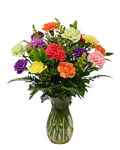 skusku11460268__46078.