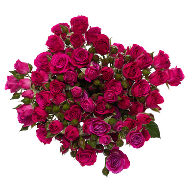 Website-Lightbox-Sizing-