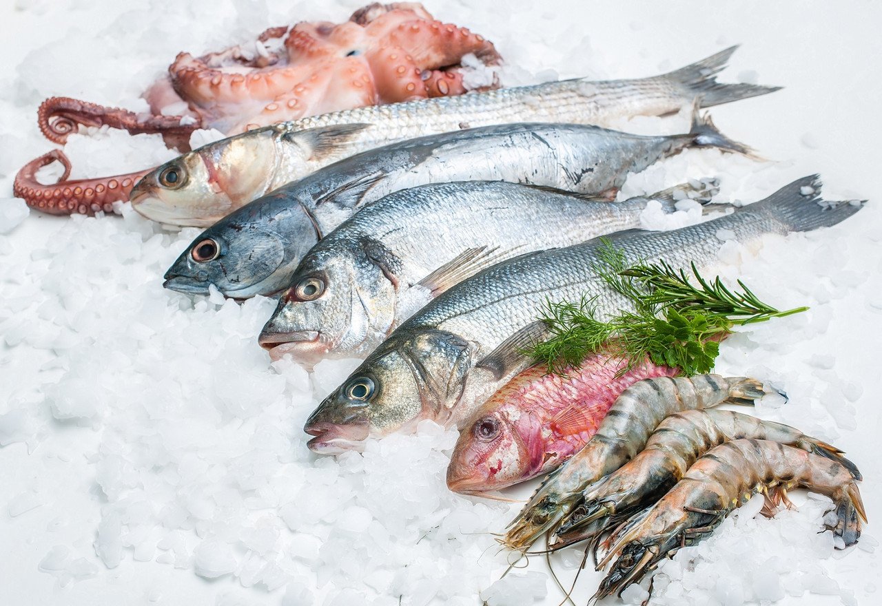 FISH