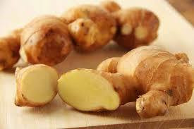 GINGER