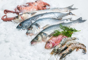FISH
