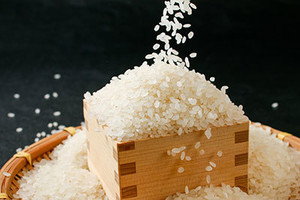 RICE