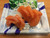 田川SALMON SASHIMI