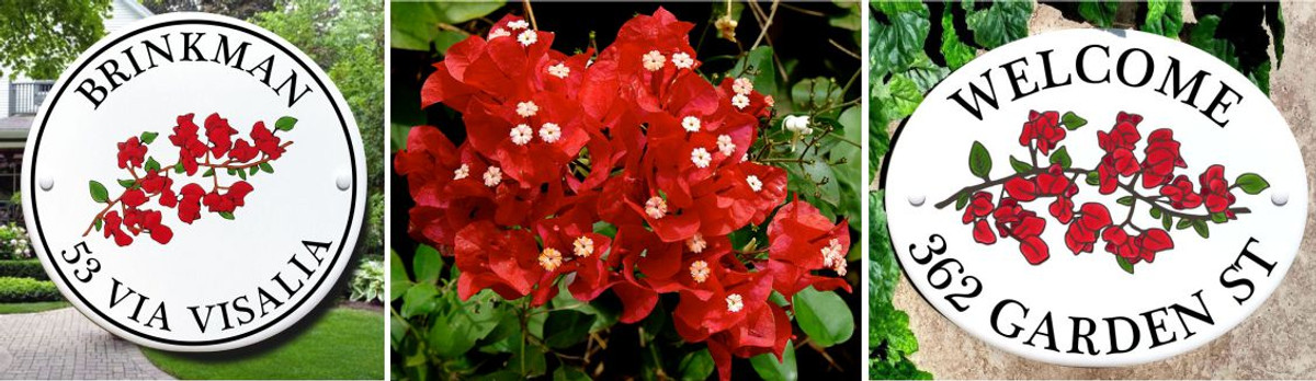 Create Beautiful Floral Decor with Bougainvilleas