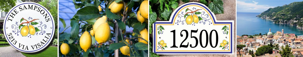 Love of Lemons and Italian Style! Love of Lemons and Italian Style!