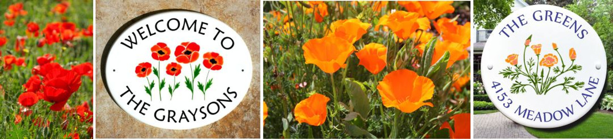 California Poppies Pop into Spring!