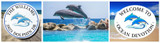 Dolphins Delight! Decor ideas for your Entry Dolphins Delight! Decor ideas for your Entry