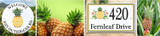 Hawaiian Pineapple Delight! Hawaiian Pineapple Delight!