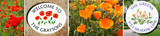 California Poppies Pop into Spring! California Poppies Pop into Spring!