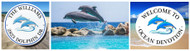 Dolphins Delight! Decor ideas for your Entry