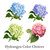 Hydrangea Cottage House Sign Color Choices