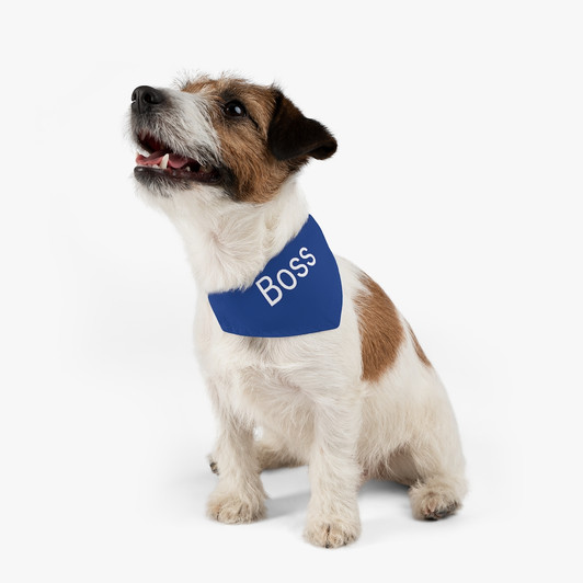 PERSONALIZED Pet Bandana Collar (BLUE)