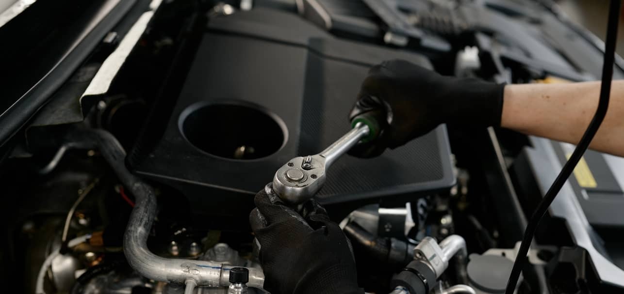 Extensive Range from Dunecht Gagare