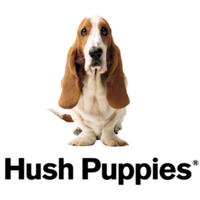 Hush Puppies Products Designer Glasses USA