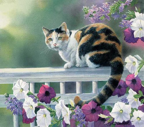 Cats 240 36b 1 Artwork Micro Fiber Cleaning Cloth