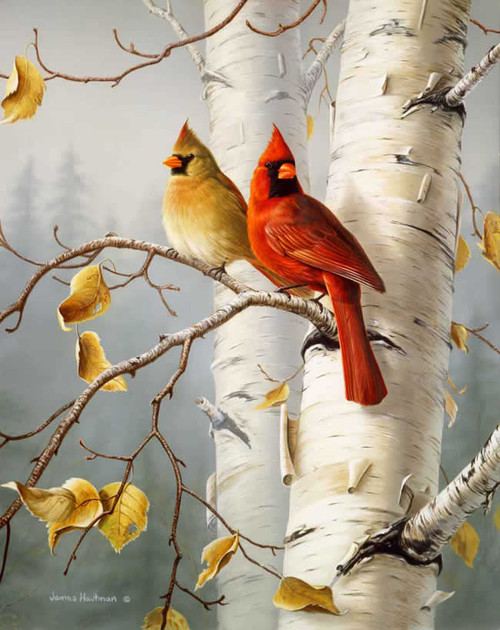 Cardinals West Virginia State Bird Artwork Micro Fiber Cleaning Cloth Cardinals West Virginia State Bird Artwork Micro Fiber Cleaning Cloth