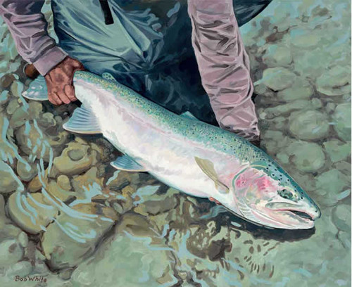 Catch & Release Artwork 240-68a-4 Micro Fiber Cleaning Cloth